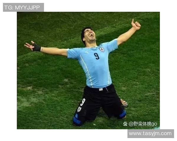 足球明星哈特森的传奇生涯与成就揭秘