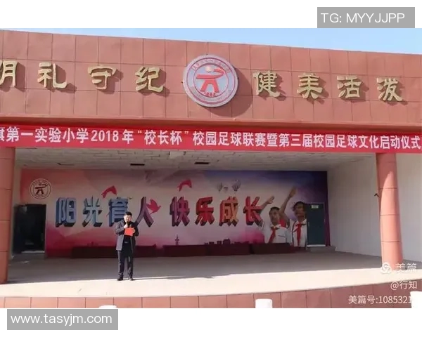 小学课文中的足球明星如何激励我们追逐梦想与拼搏精神